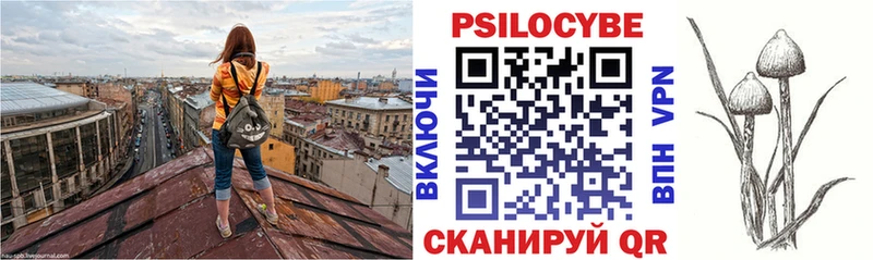Купить  Красково  Псилоцибиновые грибы мицелий 