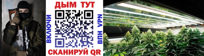 Канабис гибрид  Купить закладки  Красково 